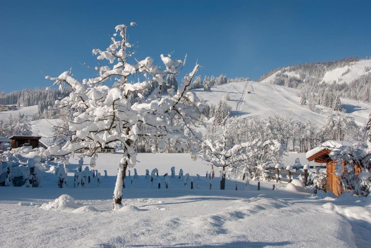 Das Glaagut - Familie Hain Hochfilzen Exterior photo